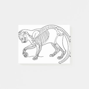 Post-it® Cat Animal Bones Skeleton Line Art Biologie