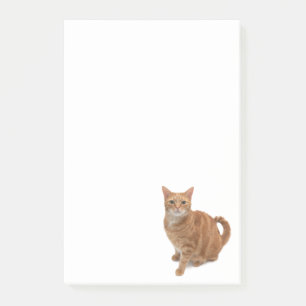 Post-it® Cat d'Orange debout