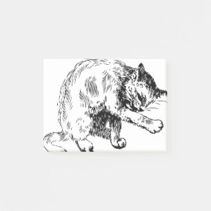 Post-it® Cat Licking Hand Furs peau nettoyage furie