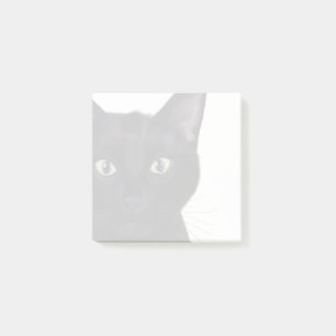 Post-it® Cat, Portrait de Gus