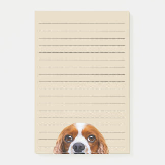 Post-it® Cavalier Charles Spaniel