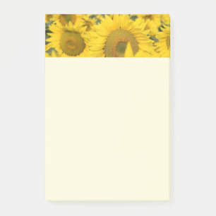 Post-it® Champ jaune de tournesols photo