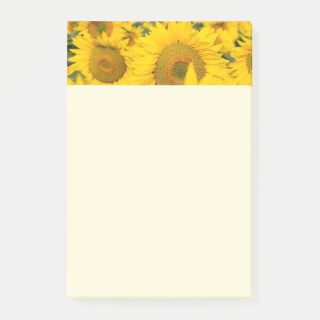 Post-it® Champ jaune de tournesols photo (Devant)