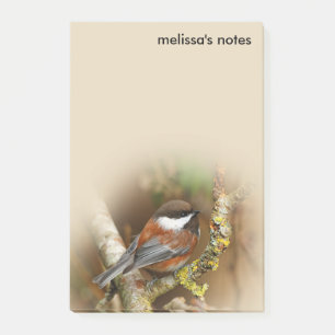 Post-it® Chickadee Songbird dans l'arbre à dos de châtaigni