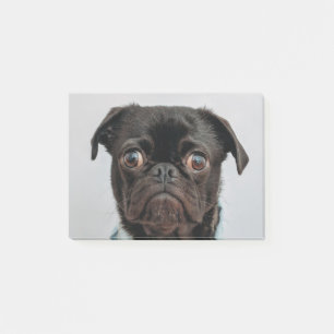Post-it® chien d'affaires