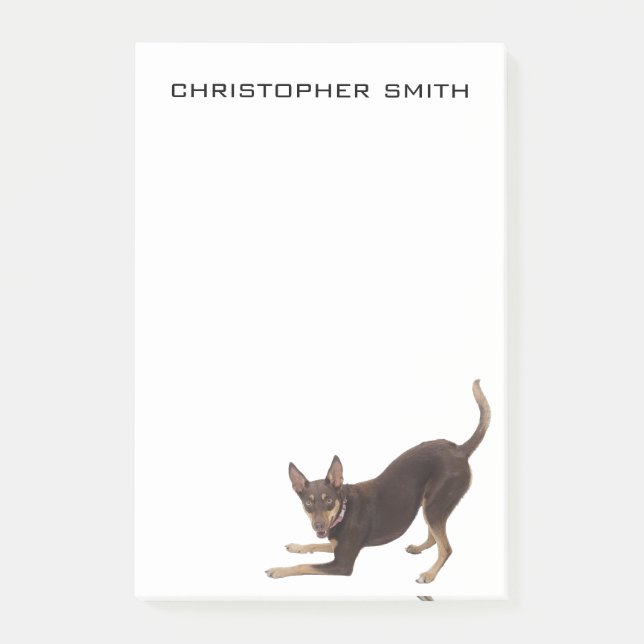 Post-it® Chien de Kelpie australien (Devant)