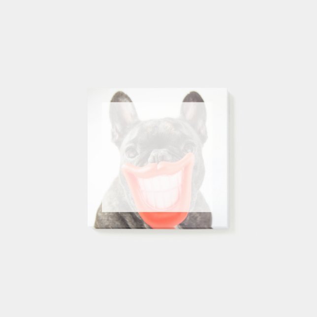 Post-it® Chien de sourire des images | A de Getty (Devant)