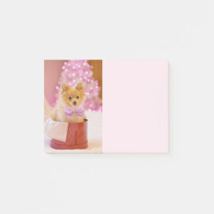 Post-it® Chien mignon avec cou rose Photographie de Noël