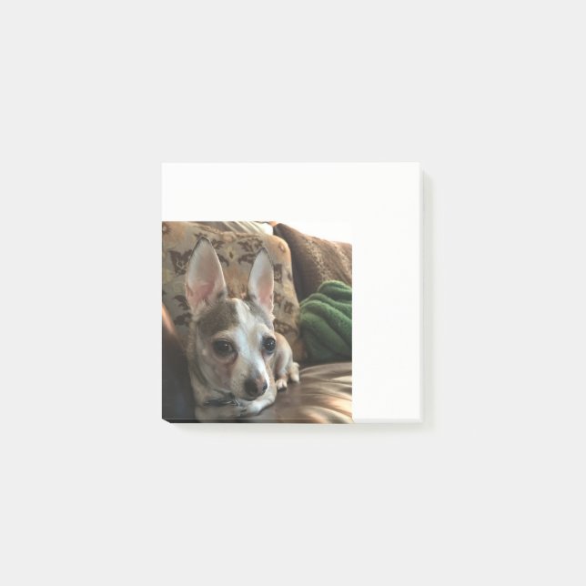 Post-it® Chihuahua Dog Post it Notes (Devant)
