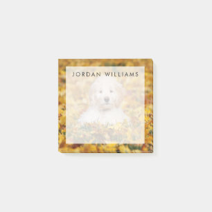 Post-it® Chiot De Goldendoodle En Feuilles D'Automne