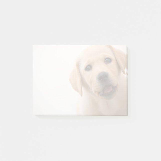 Post-it® Chiot d'or de Labrador (Devant)