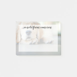 Post-it® Chiot doré de l'équipe de rétrification