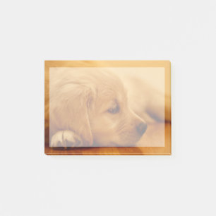 Post-it® Chiot Golden Retriever