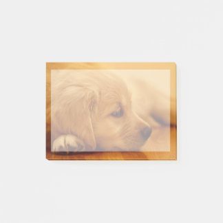 Post-it® Chiot Golden Retriever