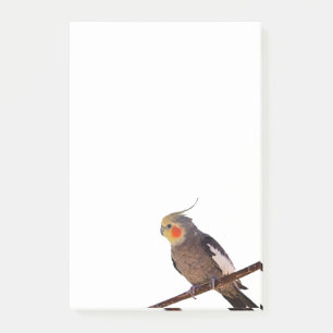 Post-it® Cockatiel Gris et Jaune Oiseau animal de compagnie