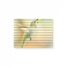 Colibri au petit matin