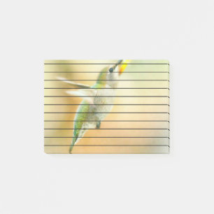 Post-it® Colibri au petit matin