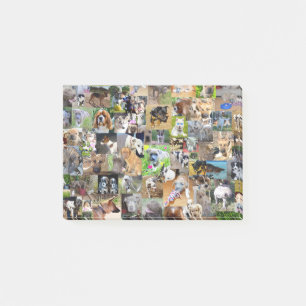 Post-it® Collage photo de chien,