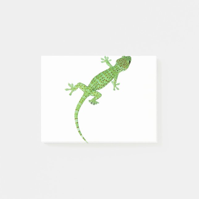 Post-it® Conception de Gecko Lizard (Devant)