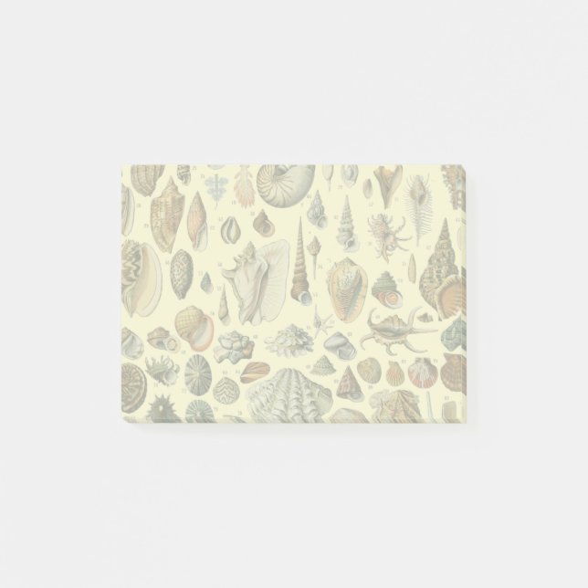 Post-it® Coquillages de coquillages Mollusk Clam Élégant Ar (Devant)