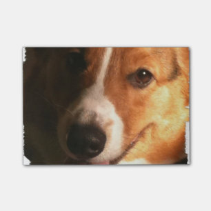 Post-it® Corgi