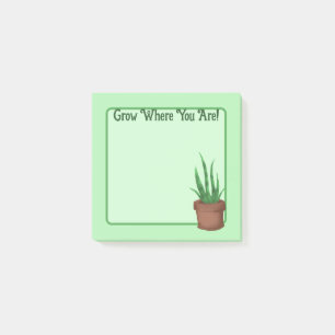 Post-it® Crois Où Tu Es ! (Joli Plante pointillé)