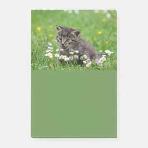 Post-it® Cute Kitten Art