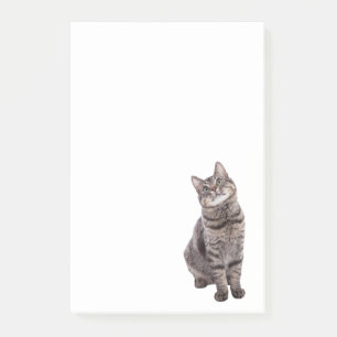 Post-it® Cute tabby Cat