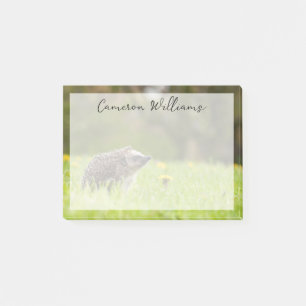 Post-it® Cutest Baby Animals   European Hedgehog