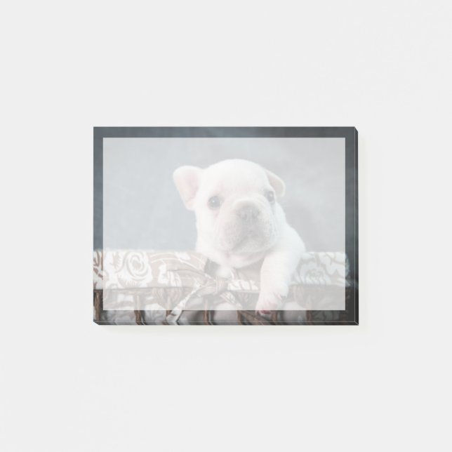 Post-it® Cutest Baby Animals | French Bulldog (Devant)