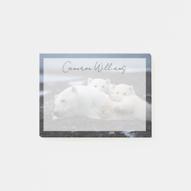 Post-it® Cutest Baby Animals | Polar Bear Family Alaska (Devant)