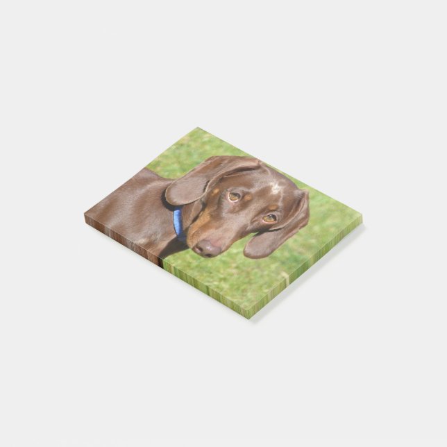 Post-it® Dachshund (Incliné)
