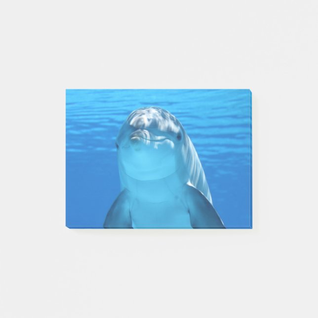 Post-it® Dauphin (Devant)