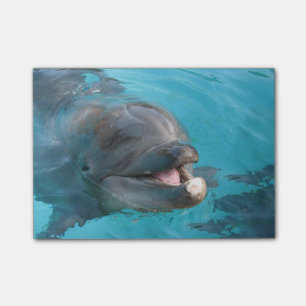 Post-it® Dauphin heureux