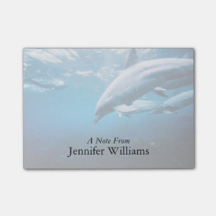 Post-it® Dauphins sous-marins