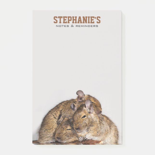Post-it® Degu heureux dans une pile de Degu (Devant)
