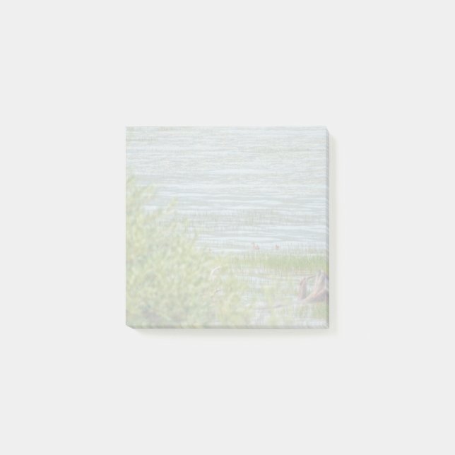 Post-it® Déplacement délicat (Devant)