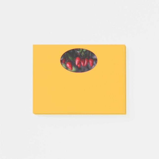 Post-it® Des Red Hot Garden Salsa Chili Peppers. (Devant)
