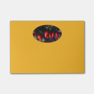 Post-it® Des Red Hot Garden Salsa Chili Peppers.