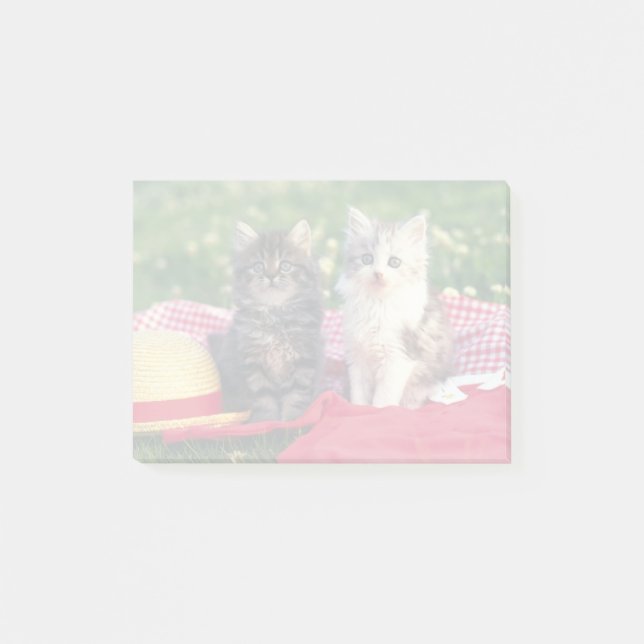 Post-it® Deux Chatons Assis Sur Une Couverture Rouge (Devant)