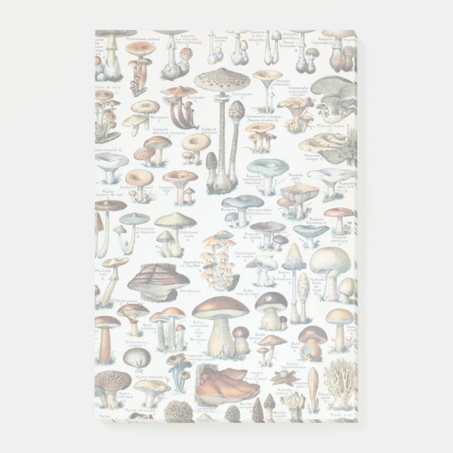 Post-it® Diagramme comestible vintage de champignon (Devant)