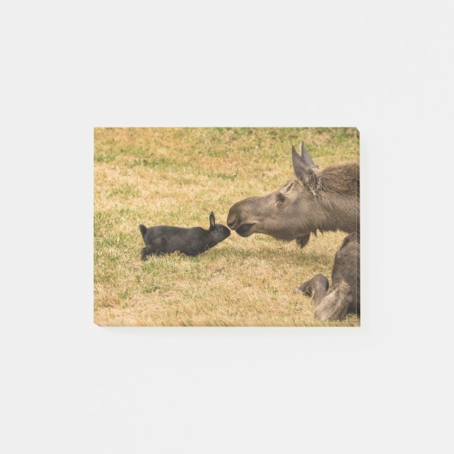 Post-it® Diversité (Devant)