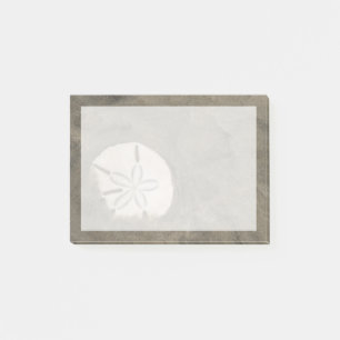 Post-it® Dollar de sable (Echinarachnius parma)