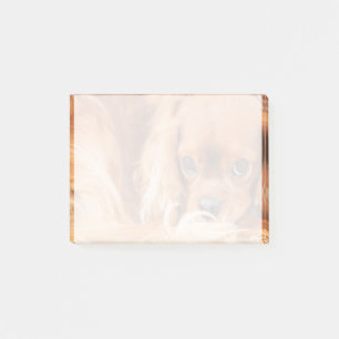 Post-it® Douce Ruby Cavalier King Charles Spaniel
