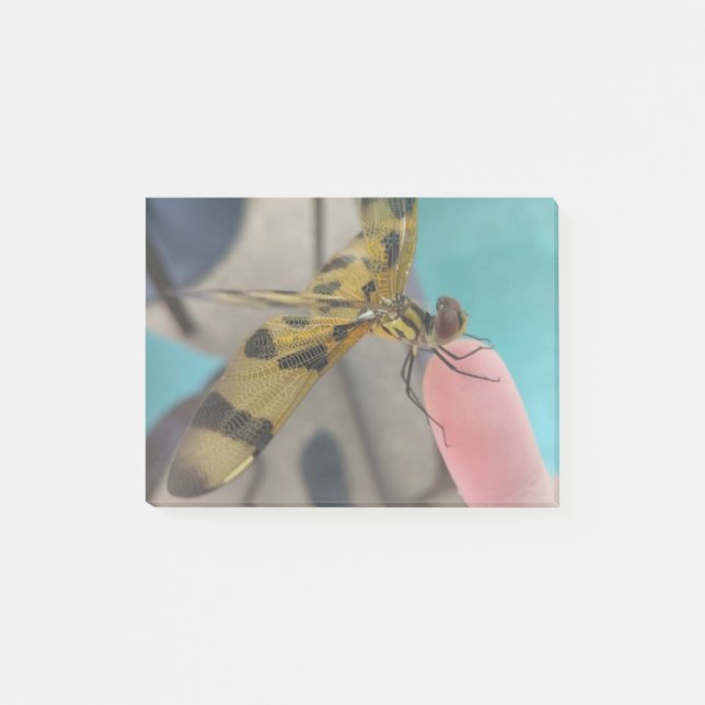 Post-it® Dragon Fly (Devant)