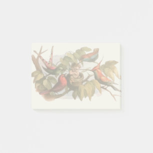 Post-it® Elfe des bois dans le nid : Antique Oiseau Sprite 
