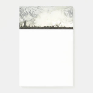Post-it® Elk at Grand Teton National Park Photographie