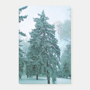 Post-it® Épinette avec de la glace