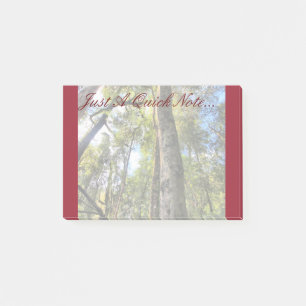 Post-it® Eucalyptus gommiers de la forêt pluviale australie