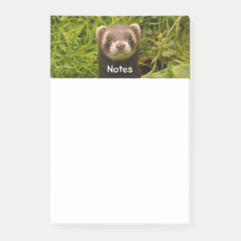 Post-it® Ferret Brown dans l'herbe